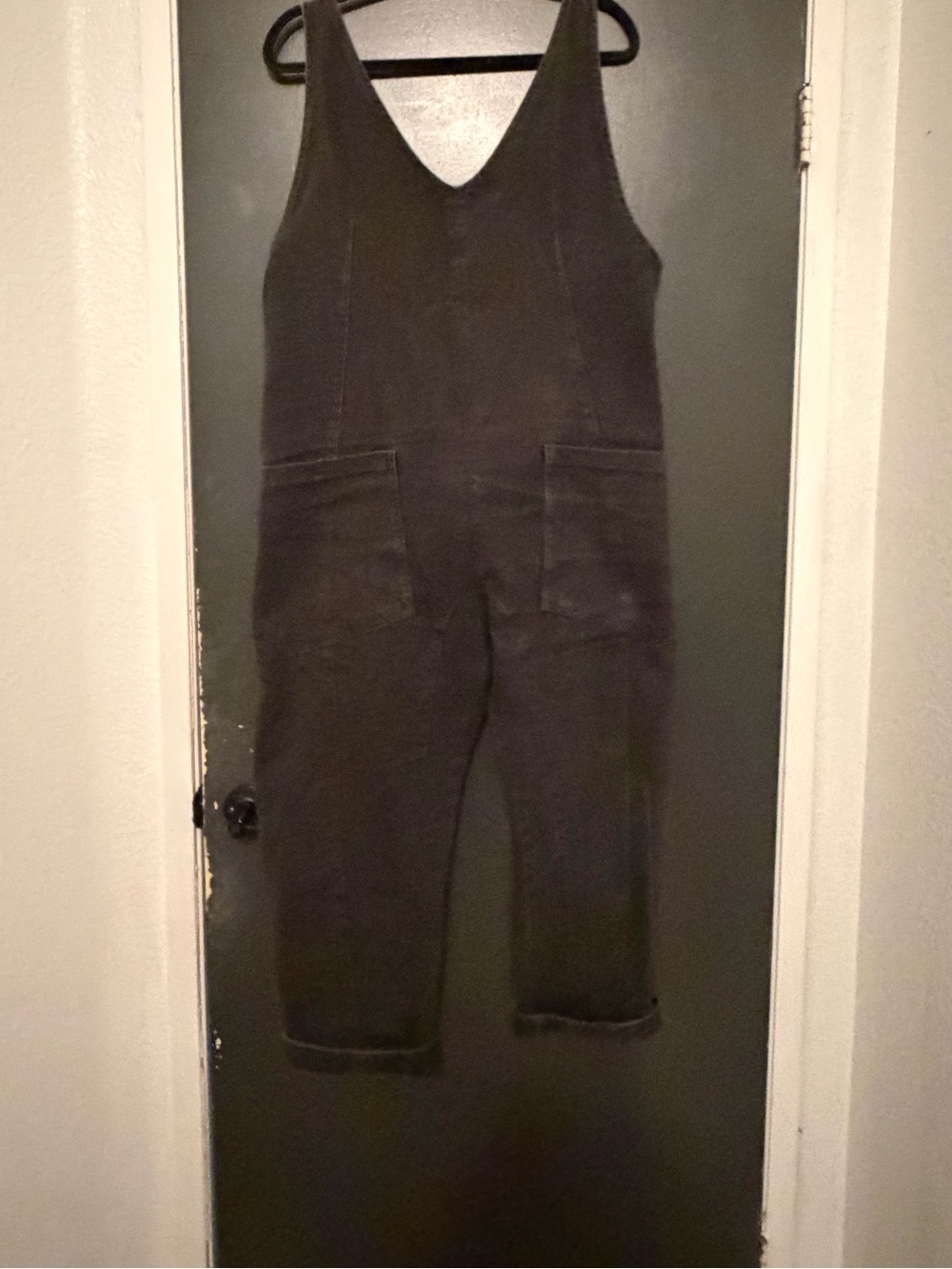 We The Free/Free people roller overalls